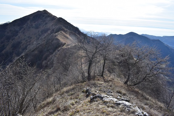 Punta Almana (1.390 m) per la variante alta del 