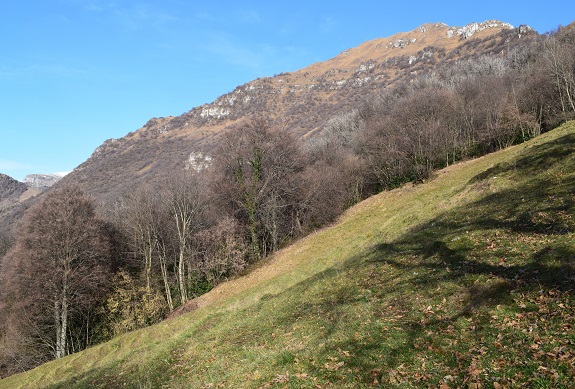 Punta Almana (1.390 m) per la variante alta del 