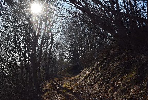 Cima Mughera (1.161 m) per il 