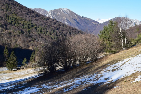Cima Mughera (1.161 m) per il 