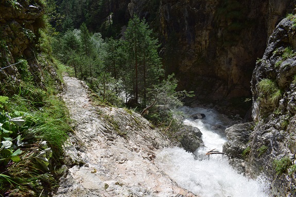 Nelle Pizzancae alla ricerca delle scritte dei pastori - Gruppo di Monte Agnello