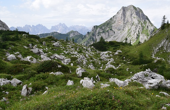 Anello della Busa del Tiarfin da Forni di Sopra - Gruppo del Bivera