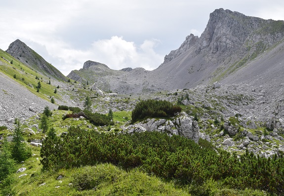 Anello della Busa del Tiarfin da Forni di Sopra - Gruppo del Bivera