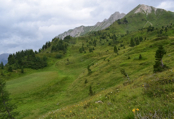 Anello della Busa del Tiarfin da Forni di Sopra - Gruppo del Bivera