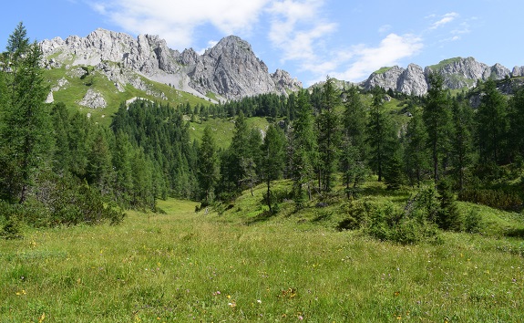 Anello della Busa del Tiarfin da Forni di Sopra - Gruppo del Bivera