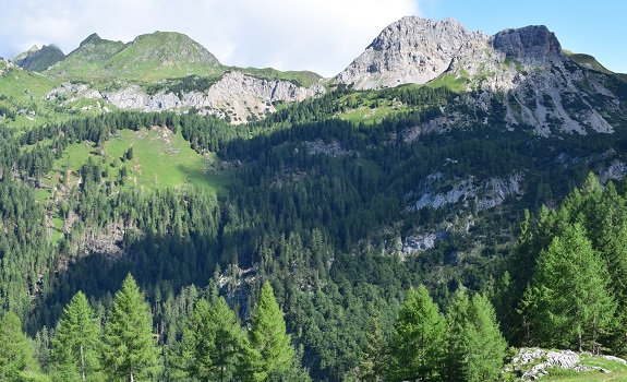 Cima Ombladet (2.255 m) da Pierabech - Monti di Volaia