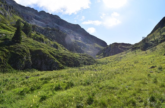 Cima Ombladet (2.255 m) da Pierabech - Monti di Volaia