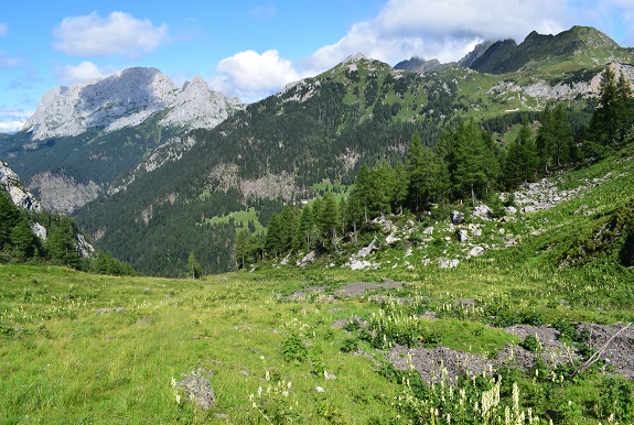 Cima Ombladet (2.255 m) da Pierabech - Monti di Volaia