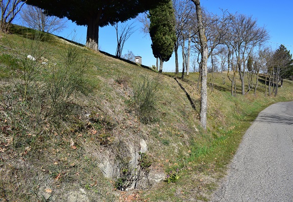 Barlie nell''Appennino Reggiano