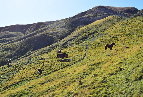 Cusna (2.121 m) da Monte Orsaro - Appennino Reggiano