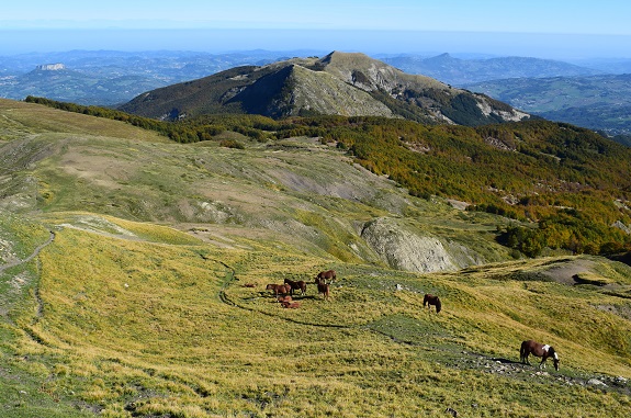 Cusna (2.121 m) da Monte Orsaro - Appennino Reggiano