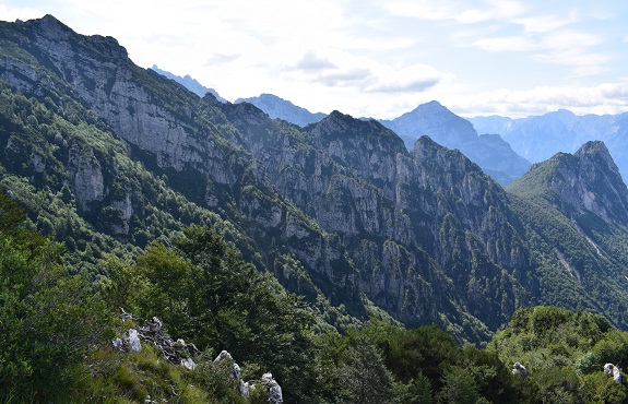 Anello del Monte Vualt da Dordolla - Gruppo del Sernio-Grauzaria