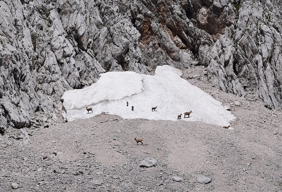 Dal Passo Duran (1.601 m) al Bivacco Grisetti (2.050 m) - Gruppo della Civetta