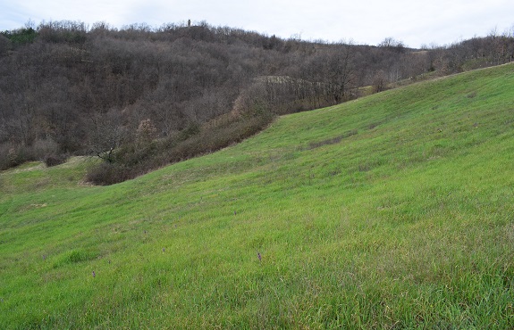 Barlie nell''Appennino Parmense