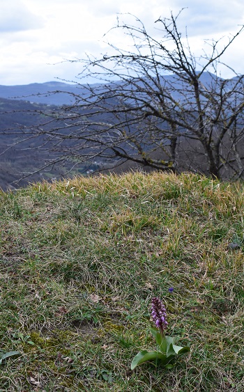 Barlie nell''Appennino Parmense