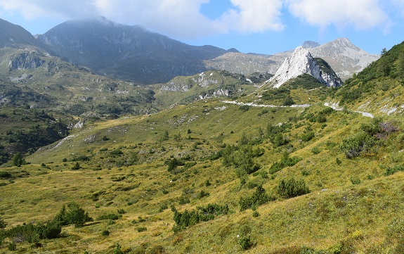 Dal Rifugio Bazena al Passo di Laione - Gruppo dell''Adamello