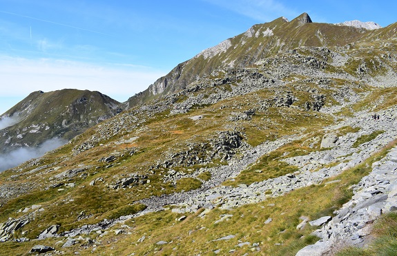 Dal Rifugio Bazena al Passo di Laione - Gruppo dell''Adamello