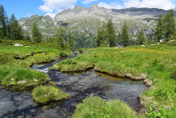 Dal Lago di Malga Bissina alla Valle Cop di Breguzzo - Gruppo dell''Adamello