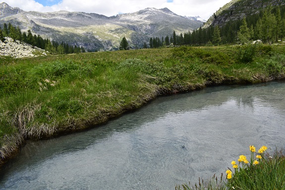 Dal Lago di Malga Bissina alla Valle Cop di Breguzzo - Gruppo dell''Adamello