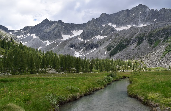 Dal Lago di Malga Bissina alla Valle Cop di Breguzzo - Gruppo dell''Adamello