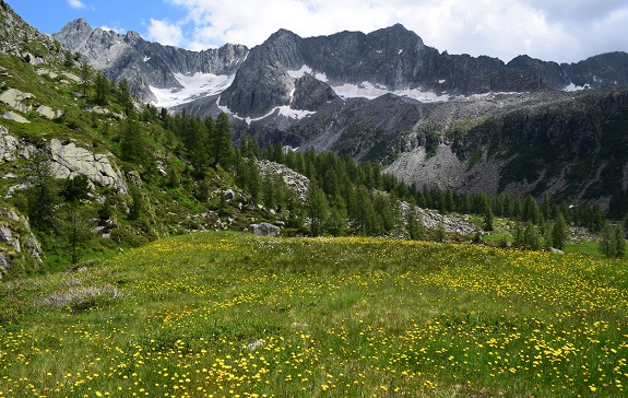 Dal Lago di Malga Bissina alla Valle Cop di Breguzzo - Gruppo dell''Adamello