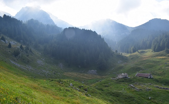 Cimon di Palantina (2.190 m) da Pian delle Lastre - Gruppo del Col Nudo-Cavallo