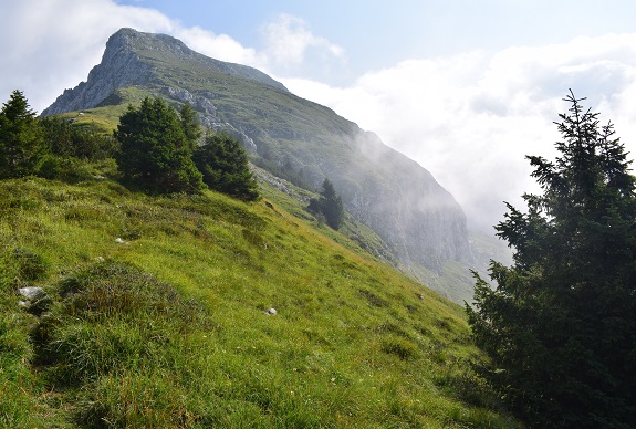 Cimon di Palantina (2.190 m) da Pian delle Lastre - Gruppo del Col Nudo-Cavallo