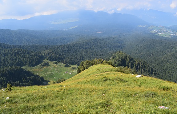 Cimon di Palantina (2.190 m) da Pian delle Lastre - Gruppo del Col Nudo-Cavallo