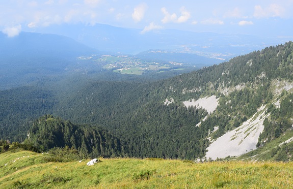 Cimon di Palantina (2.190 m) da Pian delle Lastre - Gruppo del Col Nudo-Cavallo