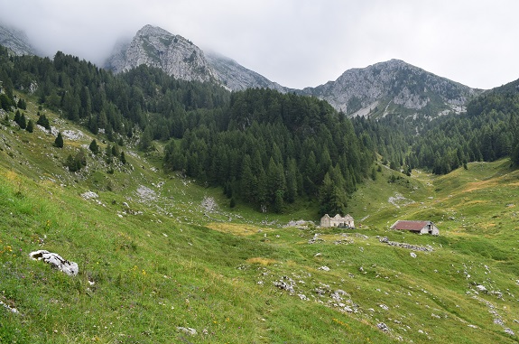 Cimon di Palantina (2.190 m) da Pian delle Lastre - Gruppo del Col Nudo-Cavallo