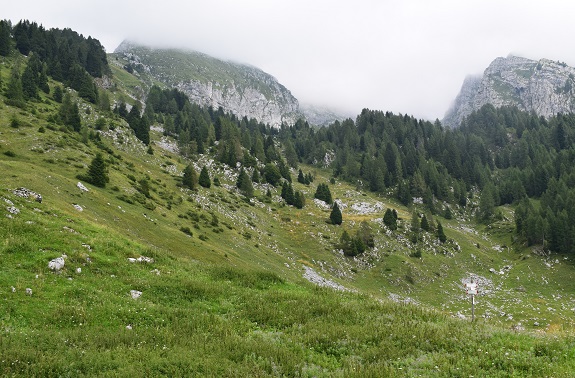 Cimon di Palantina (2.190 m) da Pian delle Lastre - Gruppo del Col Nudo-Cavallo