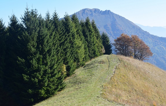 Dal Lago di Tenno al Rifugio Pernici per il 