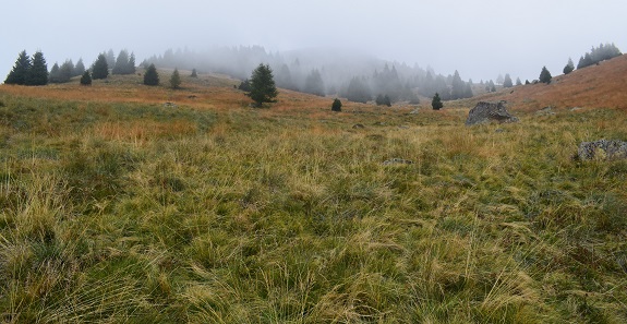 Traversata da Bagolino a Valle Dorizzo per la dorsale di Monte Telegrafo