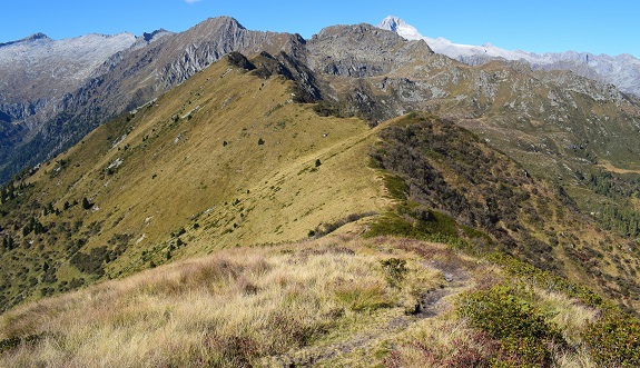 Dai Laghi di Valbona al Cengledino per creste - Gruppo dell''Adamello