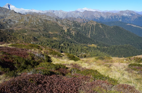 Dai Laghi di Valbona al Cengledino per creste - Gruppo dell''Adamello