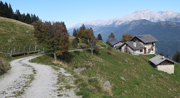 Dai Laghi di Valbona al Cengledino per creste - Gruppo dell''Adamello