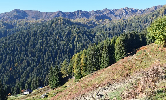 Da Malga Rosa al Lago di Valsorda - Gruppo dell''Adamello