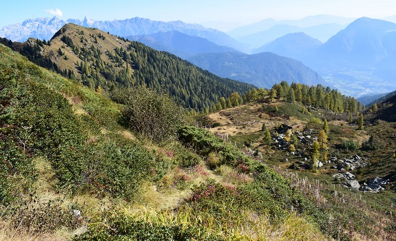 Da Malga Rosa al Lago di Valsorda - Gruppo dell''Adamello