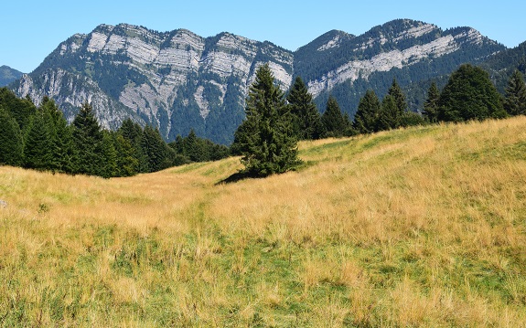 Cima Spessa (1.816 m) da Forte Ampola - Prealpi Gardesane