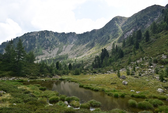 Dal Ponte del Salton alla Valtrigona per Malga d''Ezze - Catena dei Lagorai