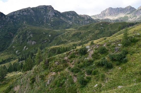 Dal Ponte del Salton alla Valtrigona per Malga d''Ezze - Catena dei Lagorai