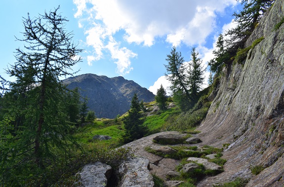 Da San Bernardo di Rabbi al Lago Rotondo - Gruppo Vegaia-Tremenesca