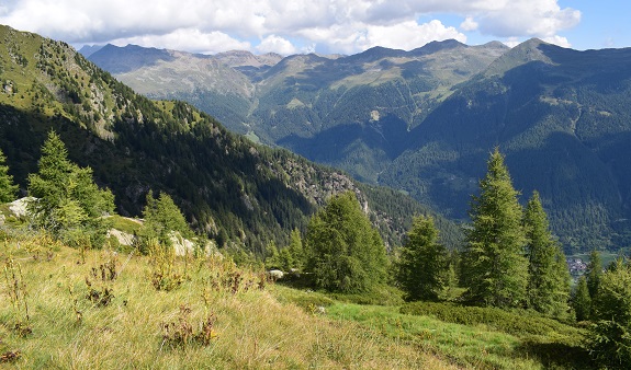 Da San Bernardo di Rabbi al Lago Rotondo - Gruppo Vegaia-Tremenesca