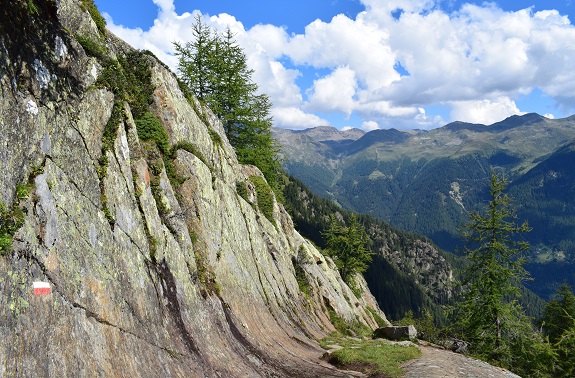 Da San Bernardo di Rabbi al Lago Rotondo - Gruppo Vegaia-Tremenesca