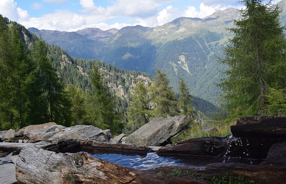 Da San Bernardo di Rabbi al Lago Rotondo - Gruppo Vegaia-Tremenesca