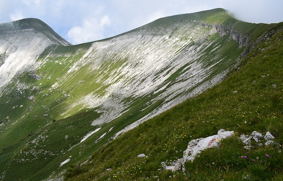 Pavione (2.335 m) da Passo Croce d''Aune - Alpi Feltrine