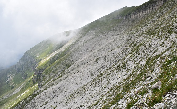 Pavione (2.335 m) da Passo Croce d''Aune - Alpi Feltrine