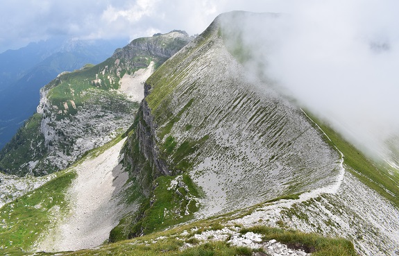 Pavione (2.335 m) da Passo Croce d''Aune - Alpi Feltrine