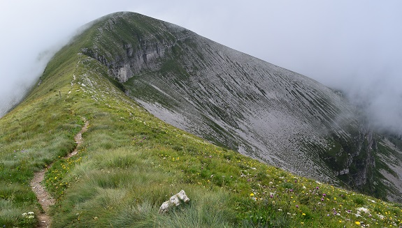 Pavione (2.335 m) da Passo Croce d''Aune - Alpi Feltrine