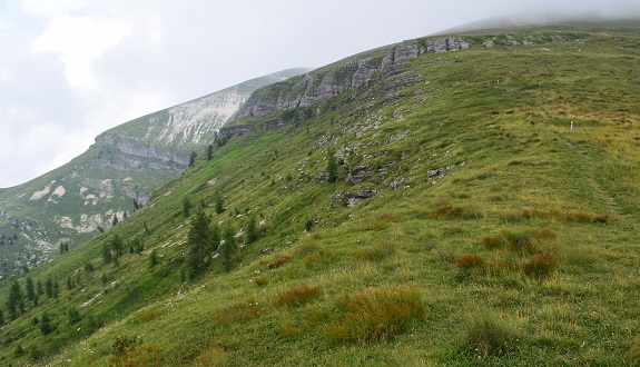 Pavione (2.335 m) da Passo Croce d''Aune - Alpi Feltrine